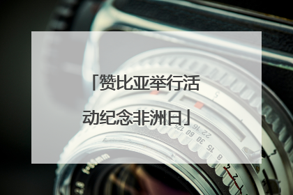 赞比亚举行活动纪念非洲日